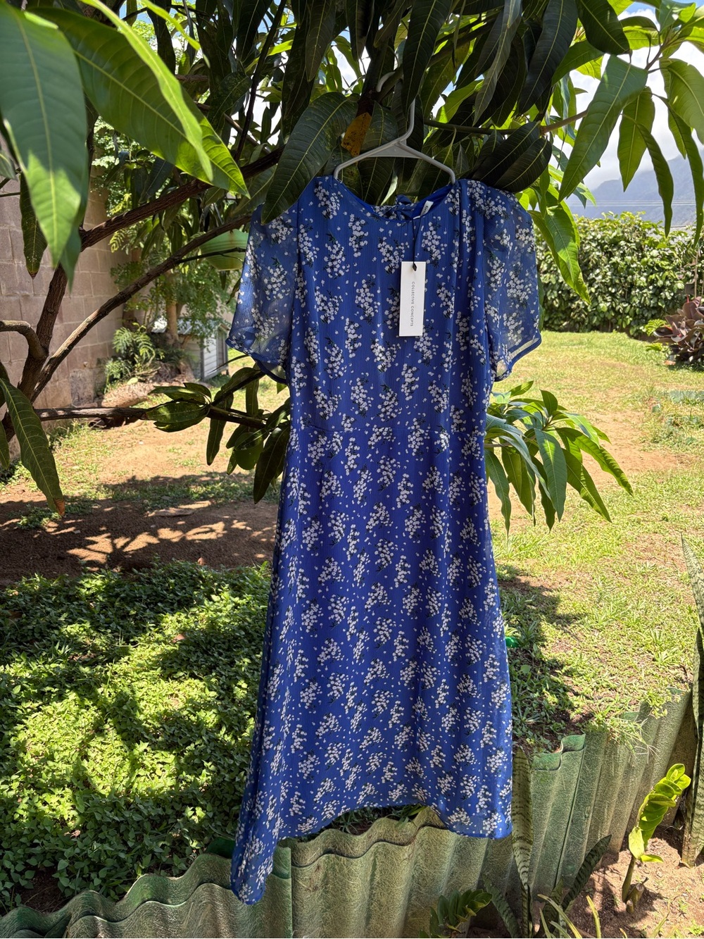 Collective Concepts Blue Floral Maxi Dress with Sheer Sleeves